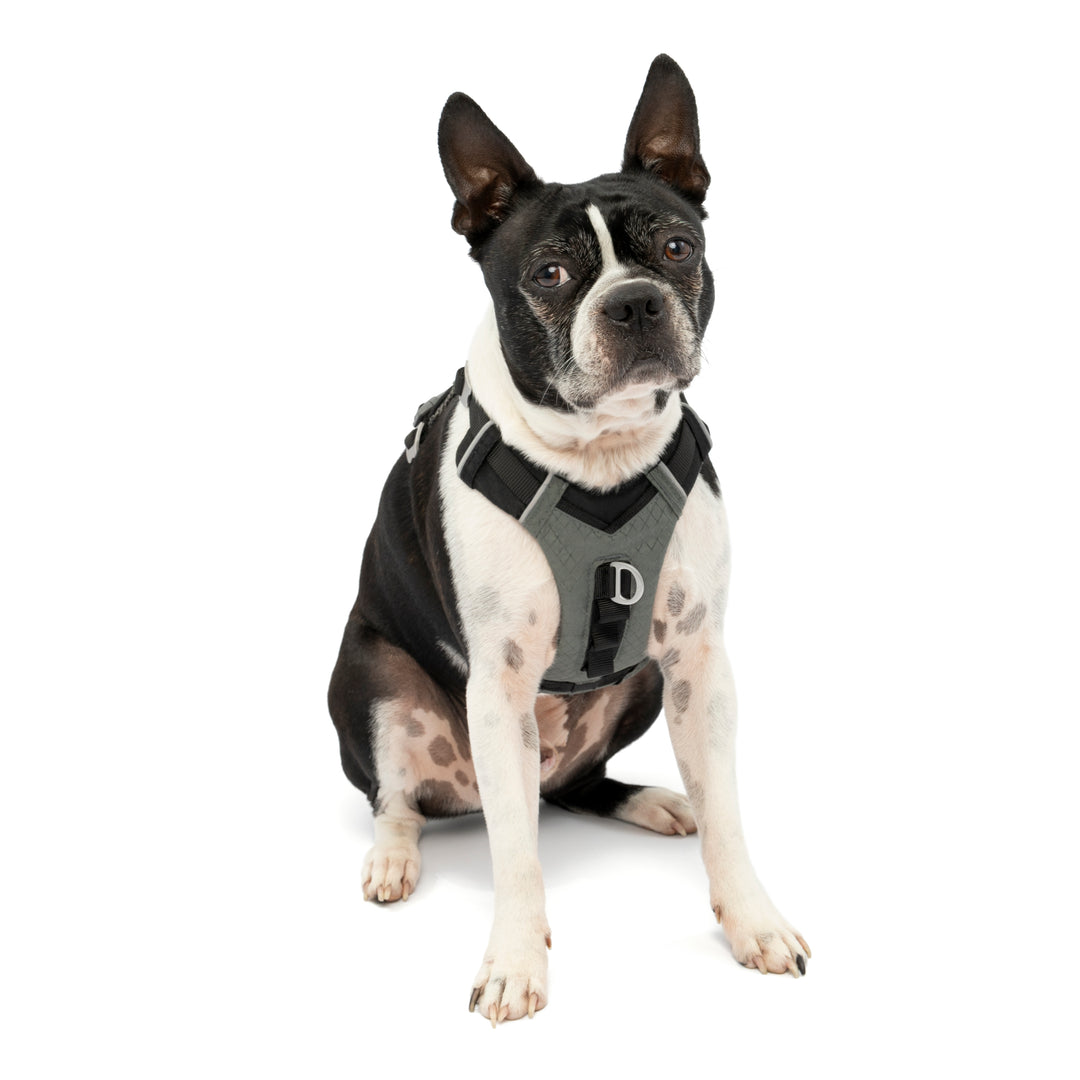 Kurgo Journey Air Harness