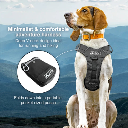 Kurgo Stash ‘n Dash Harness