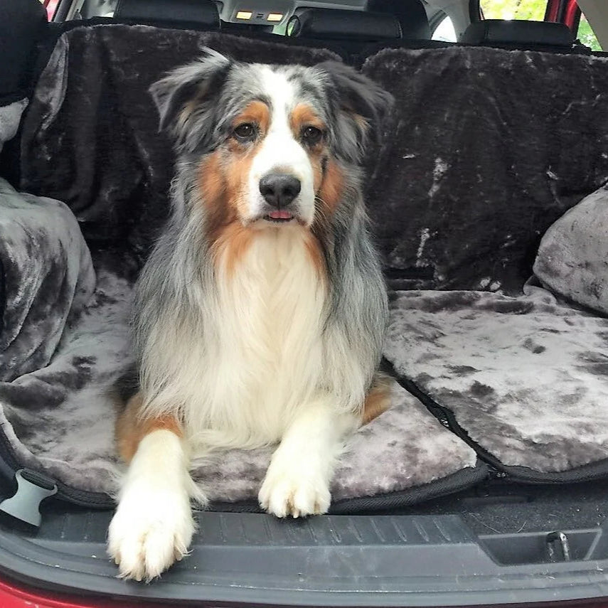 Dog sitting on a car's pet seat cover in the back of a vehicle