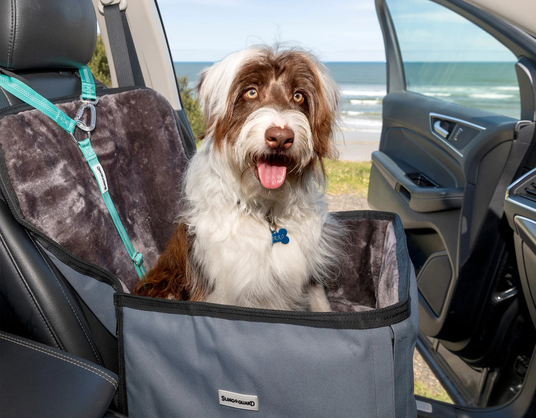 Dog sitting in a pet seat cover inside a car with a beach view outside