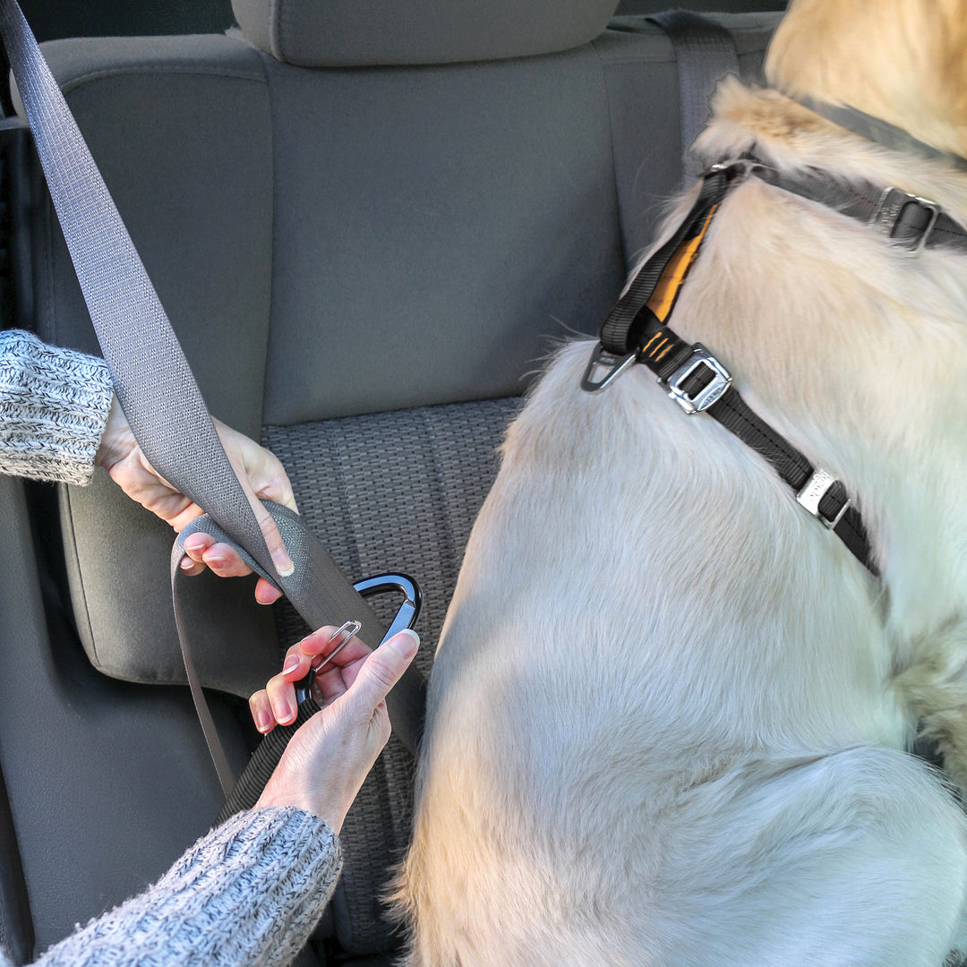 Kurgo – Enhanced Strength Tru-Fit Dog Car Harness