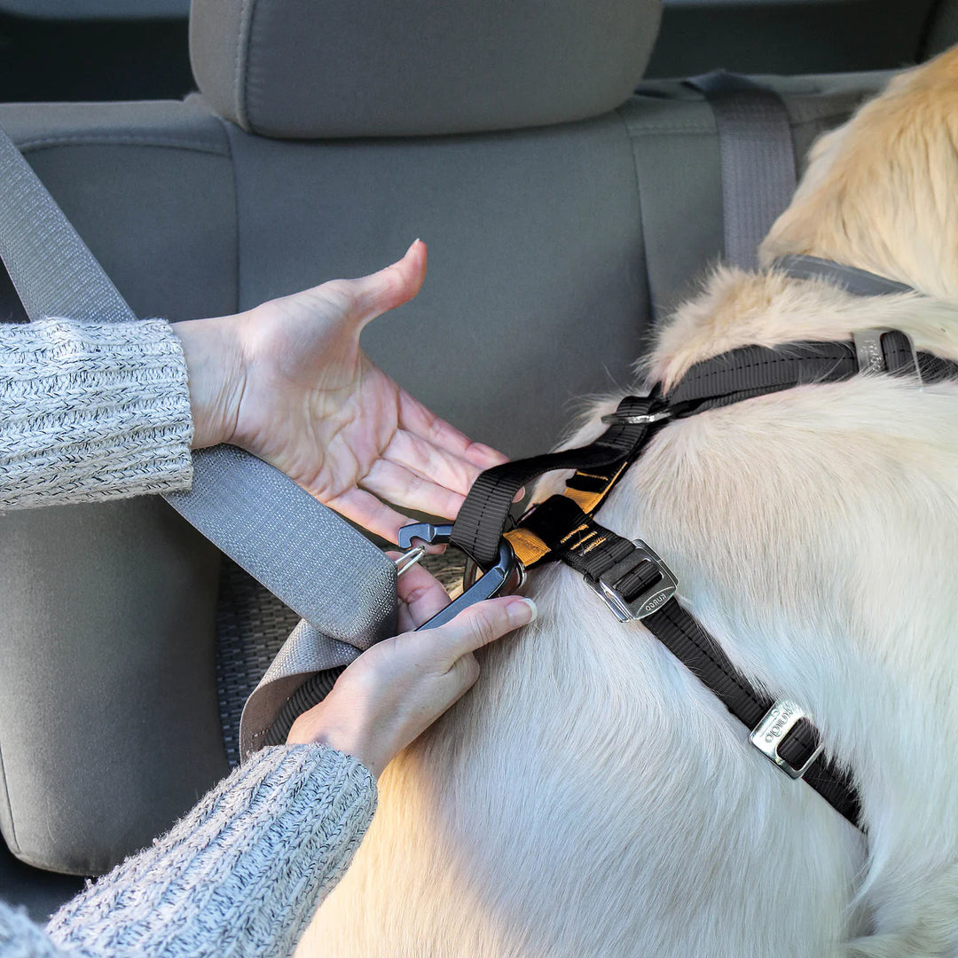 Kurgo – Enhanced Strength Tru-Fit Dog Car Harness