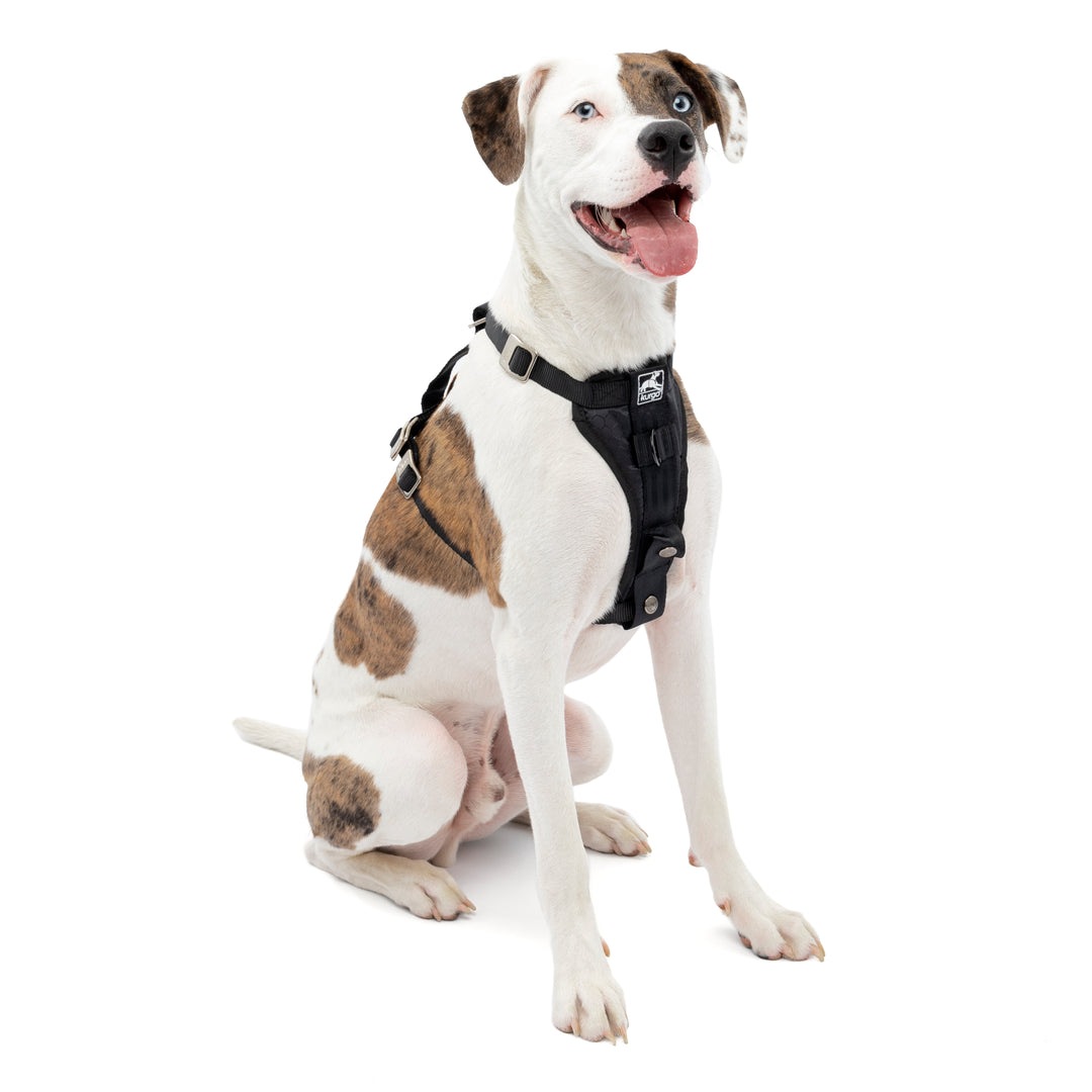 Kurgo – Enhanced Strength Tru-Fit Dog Car Harness