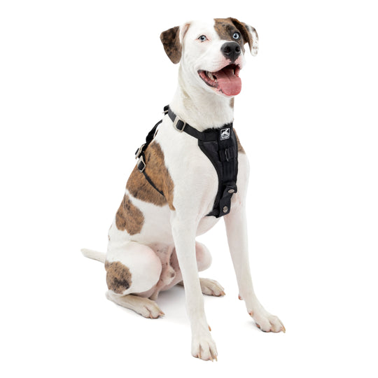 Kurgo – Enhanced Strength Tru-Fit Dog Car Harness