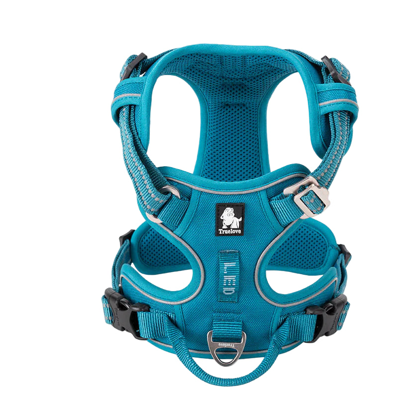 Blue dog harness with 'Truelove' branding on a white background