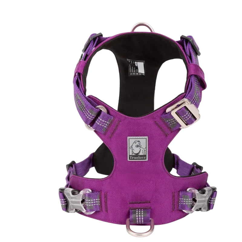 Purple dog harness with 'Truelove' branding on a white background