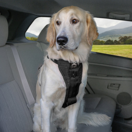Kurgo – Enhanced Strength Tru-Fit Dog Car Harness