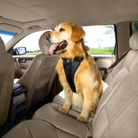 Kurgo – Enhanced Strength Tru-Fit Dog Car Harness