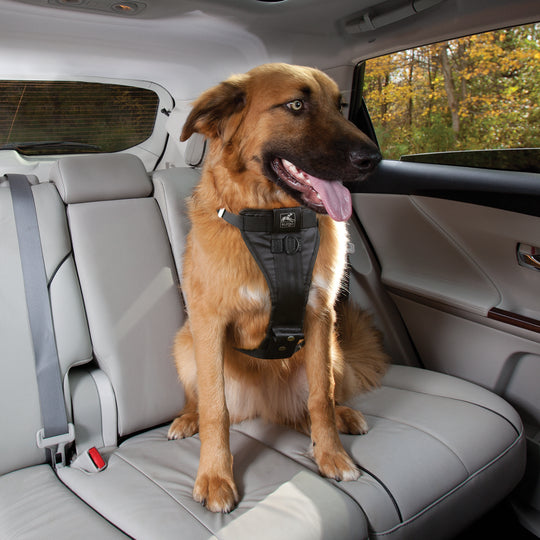 Kurgo – Enhanced Strength Tru-Fit Dog Car Harness