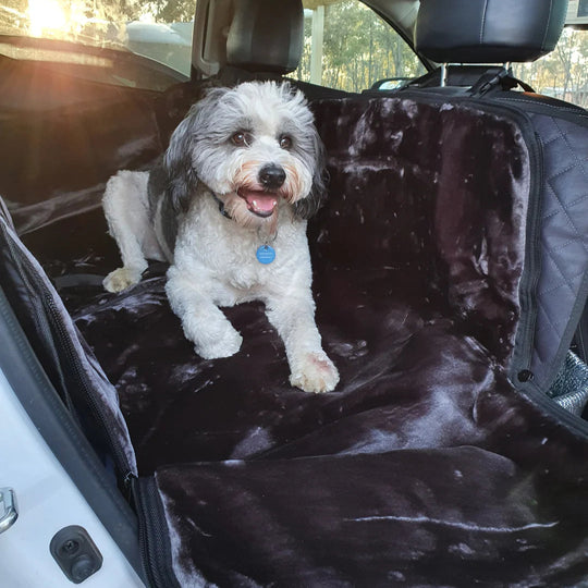 Dog sitting on a black car seat cover inside a vehicle
