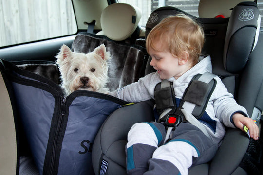 Child in a car seat with a dog in the backseat of a vehicle