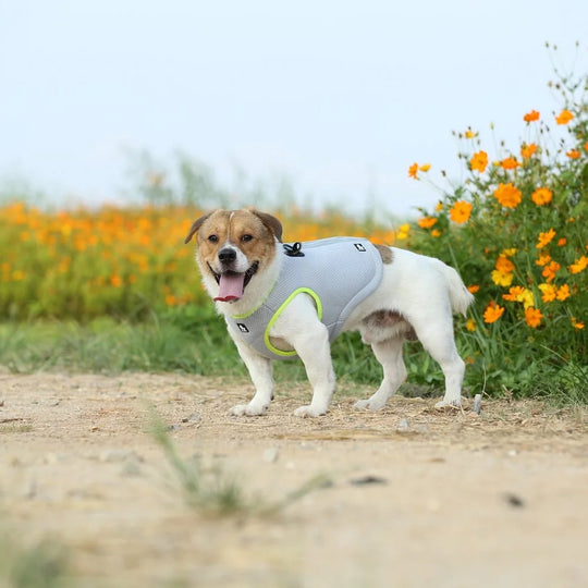 Truelove Cooling Vest for Dogs