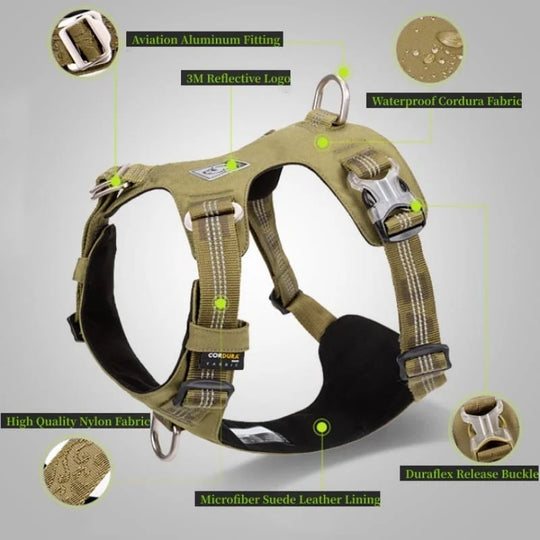 Truelove Waterproof Adventure Dog Harness