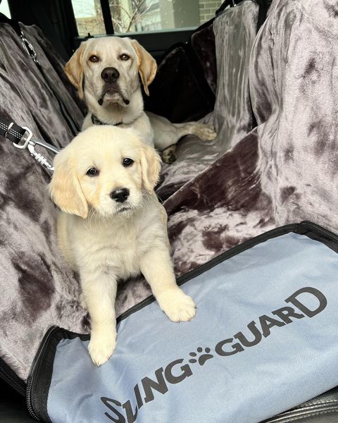 SlingGuard 2-in-1 Dog Car Seat Cover/Boot Protector Bundle with Car Headrest Lead