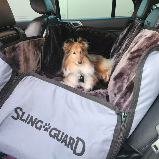 Dog sitting in a car with a Sling Guard pet seat cover.