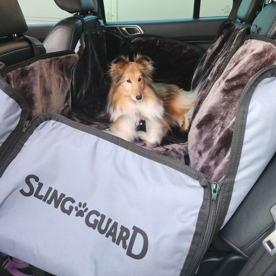 Dog sitting in a car with a Sling Guard pet seat cover.
