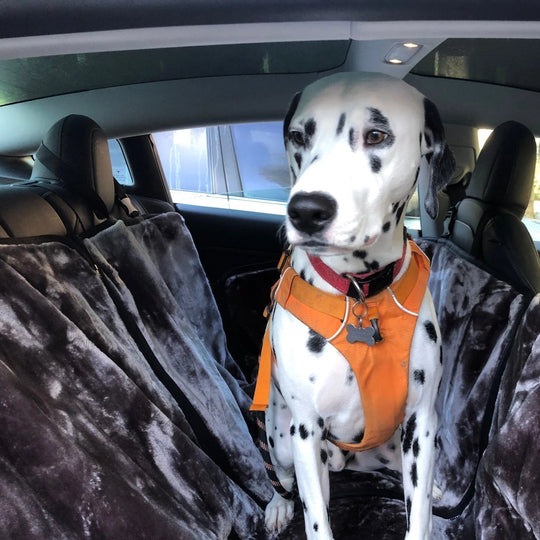 SlingGuard 2-in-1 Dog Car Seat Cover/Boot Protector Bundle with Car Headrest Lead