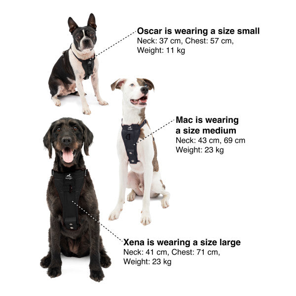 Kurgo – Enhanced Strength Tru-Fit Dog Car Harness