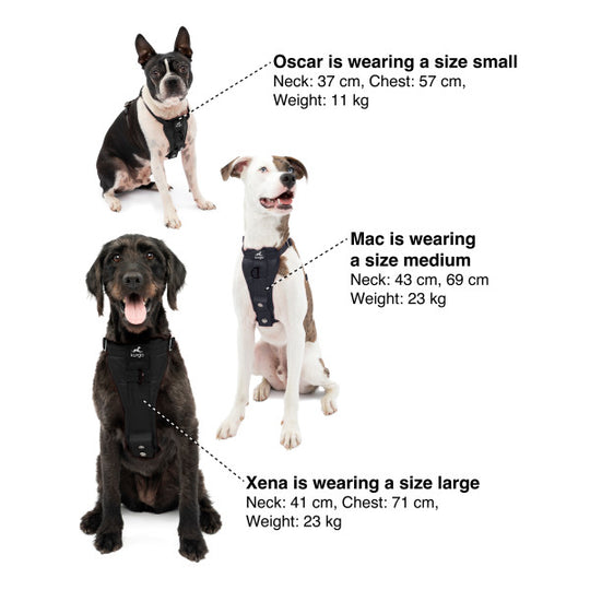 Kurgo – Enhanced Strength Tru-Fit Dog Car Harness