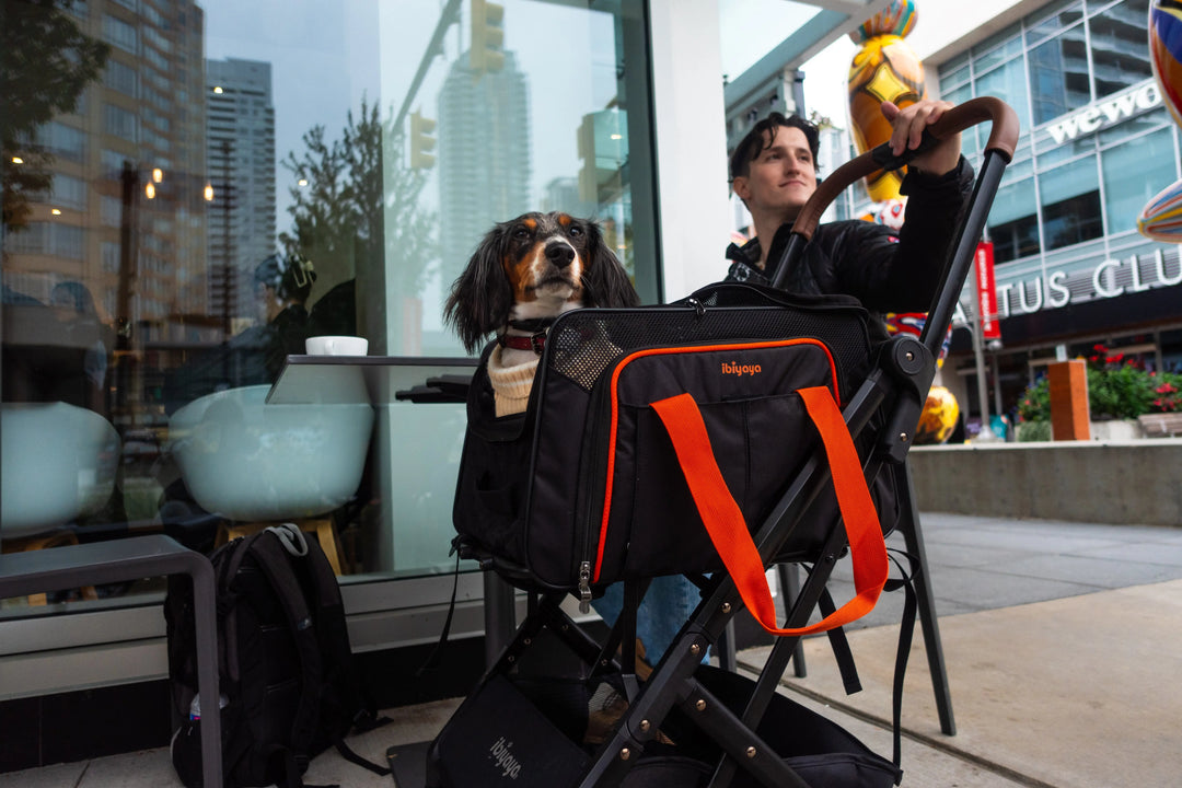 Ibiyaya JetPaw 3-in-1 Pet Stroller with Removable Carrier Ibiyaya