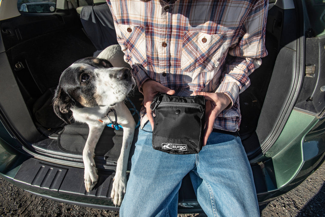 Kurgo Stash ‘n Dash Harness