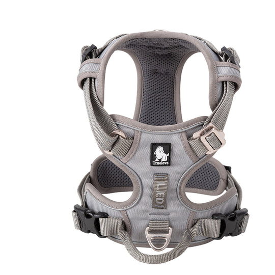 Gray dog harness with 'Truelove' branding on a white background