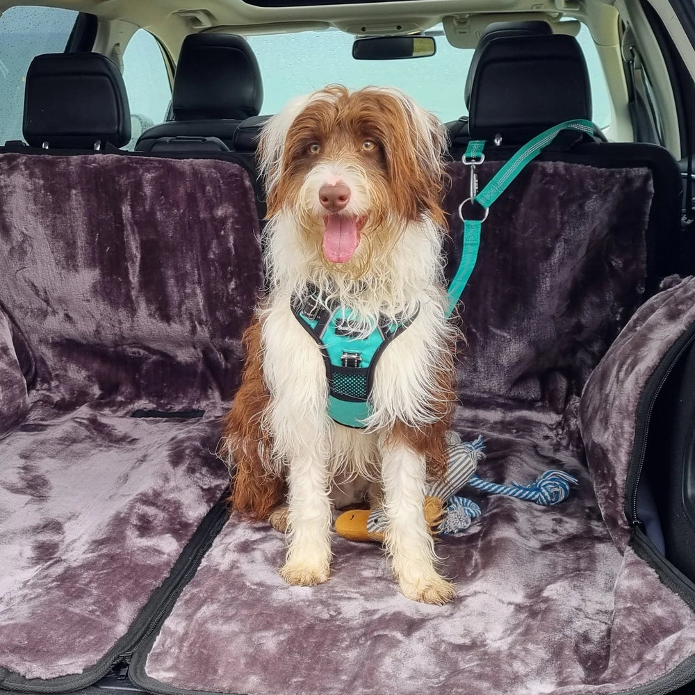 SlingGuard 2-in-1 Dog Car Seat Cover/Boot Protector