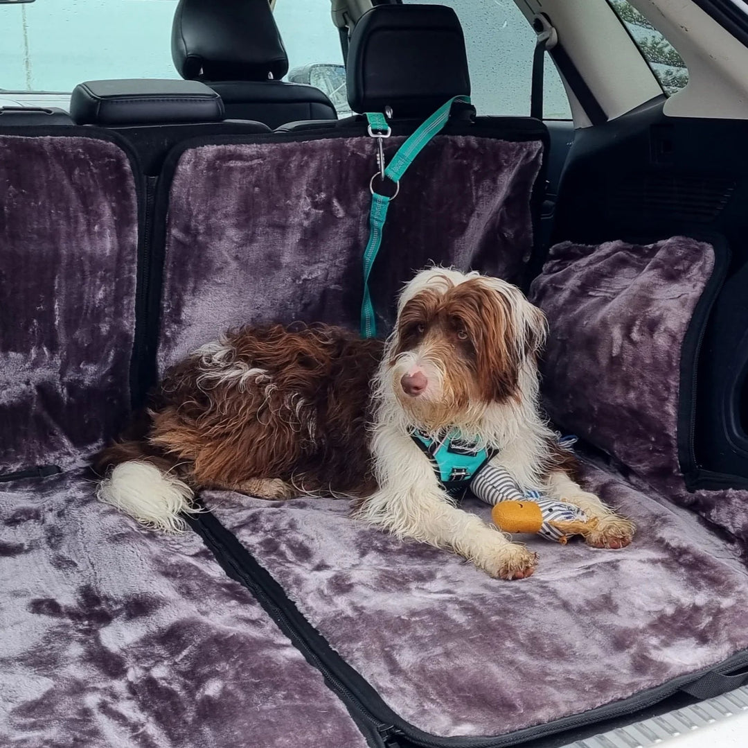 Dog on a car seat cover in a vehicle