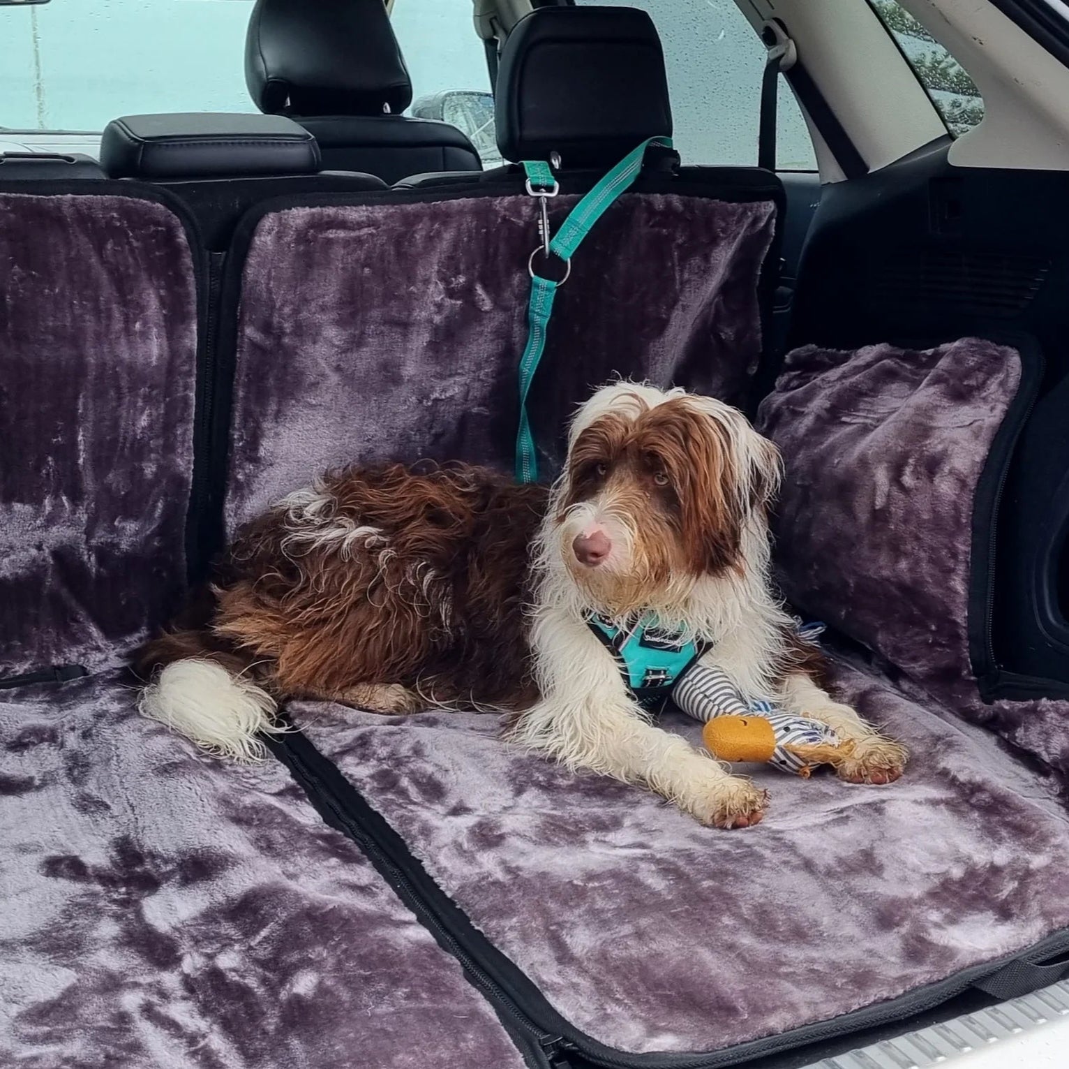 Dog on a car seat cover in a vehicle